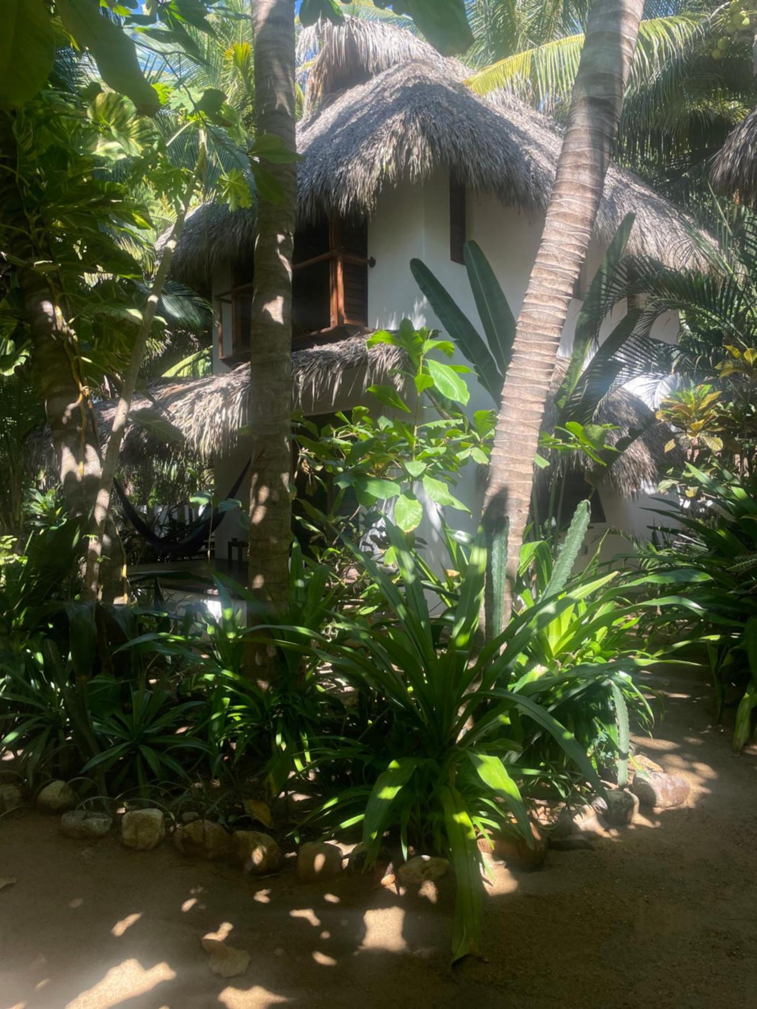 Hotel Descalzo Spa Zipolite Exteriör bild