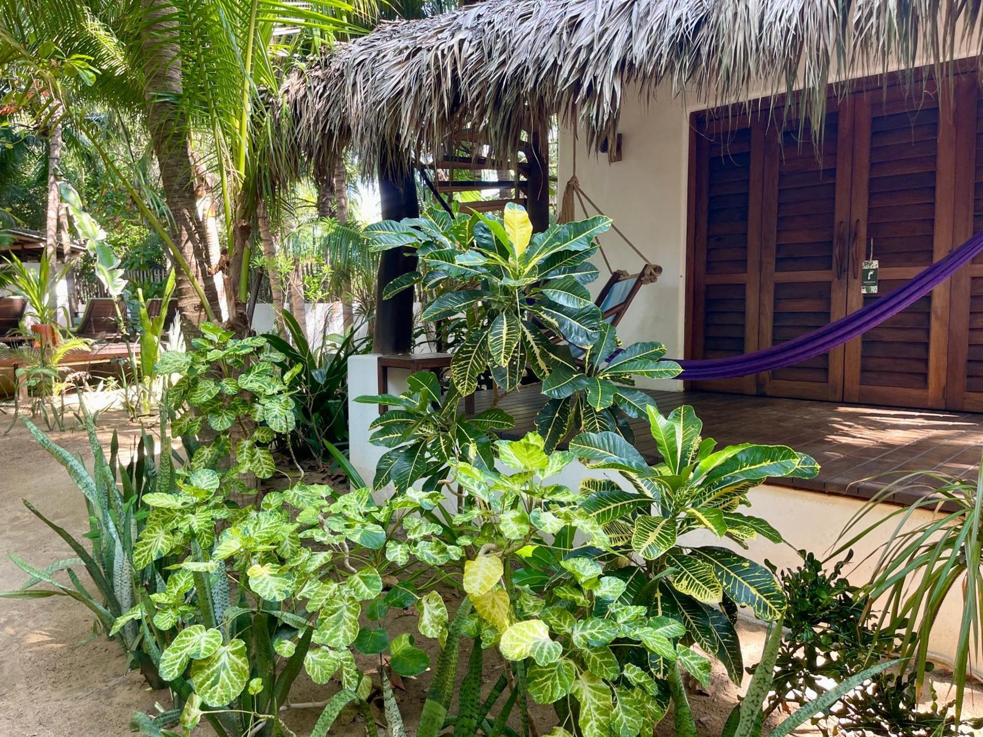 Hotel Descalzo Spa Zipolite Exteriör bild