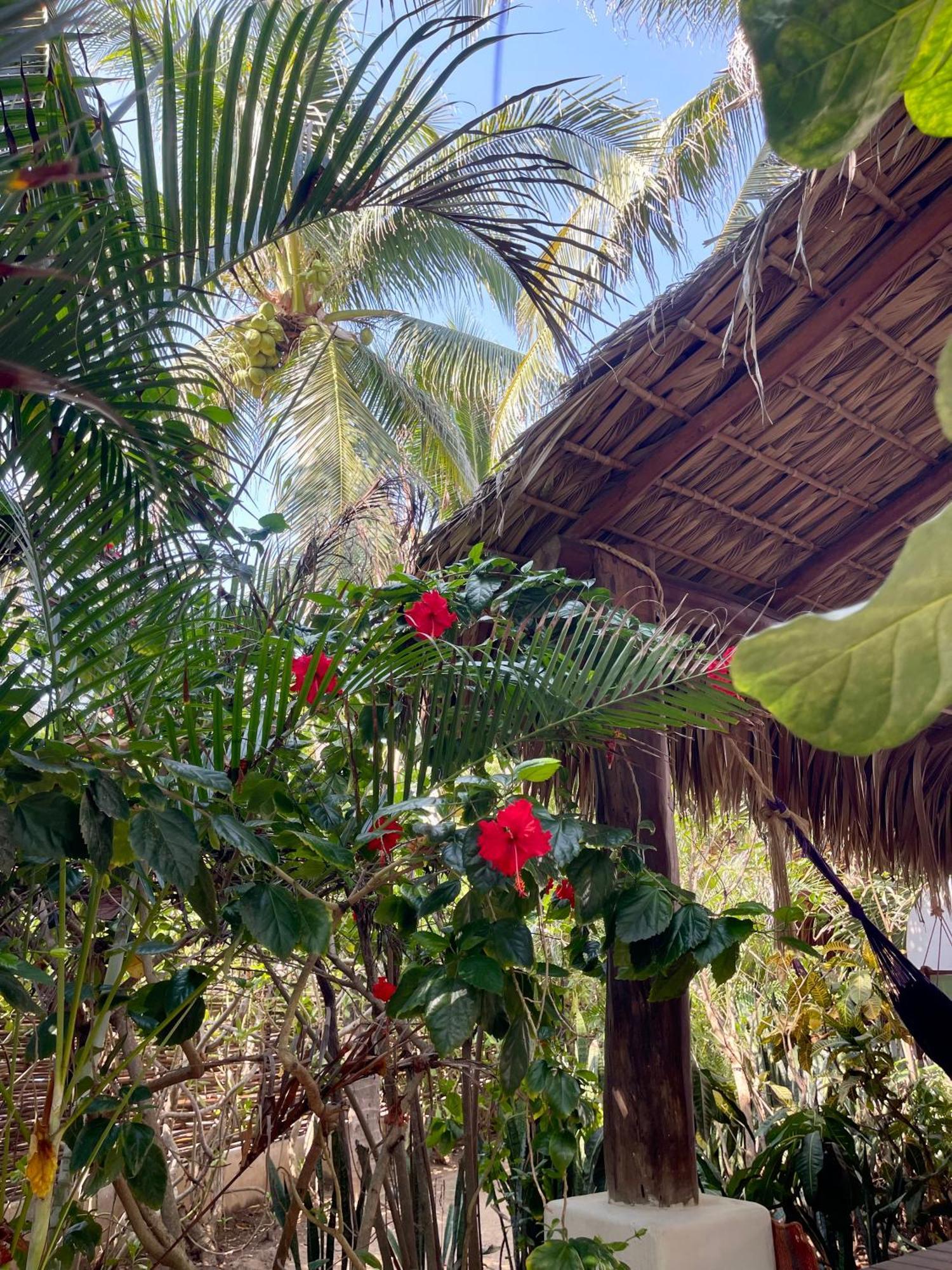 Hotel Descalzo Spa Zipolite Exteriör bild