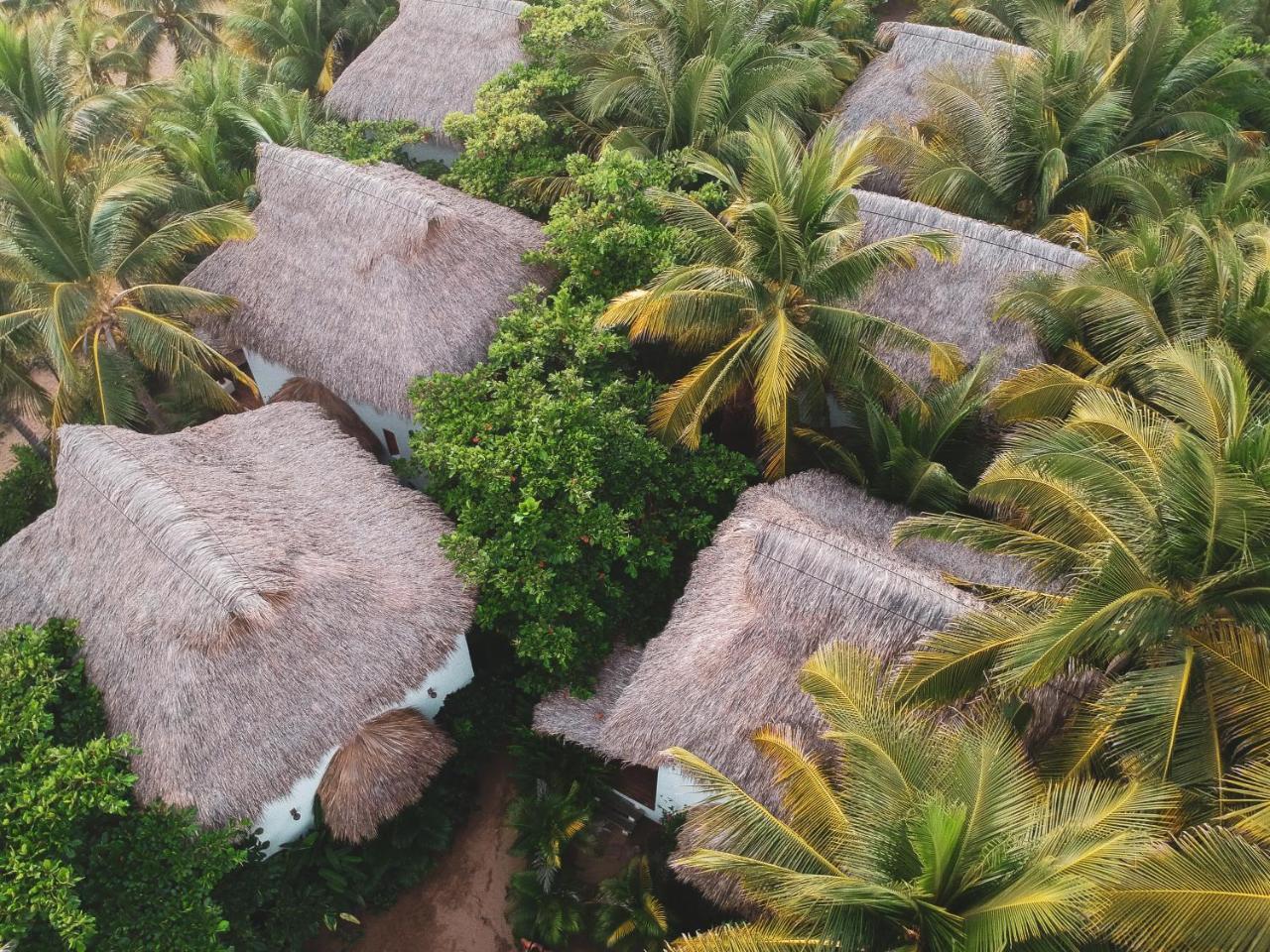Hotel Descalzo Spa Zipolite Exteriör bild