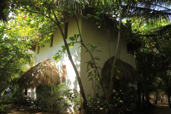 Hotel Descalzo Spa Zipolite Exteriör bild
